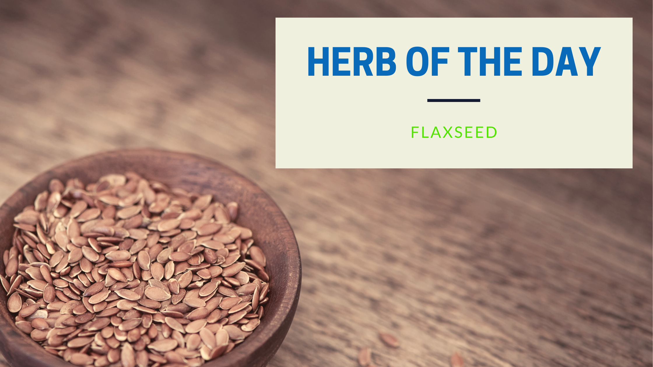 Herb of the Day: Flaxseed with picture of a bowl of flaxseeds