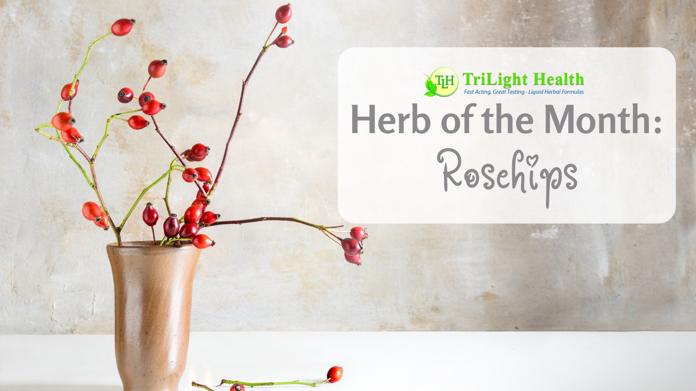 Herb of the Month: Rosehips