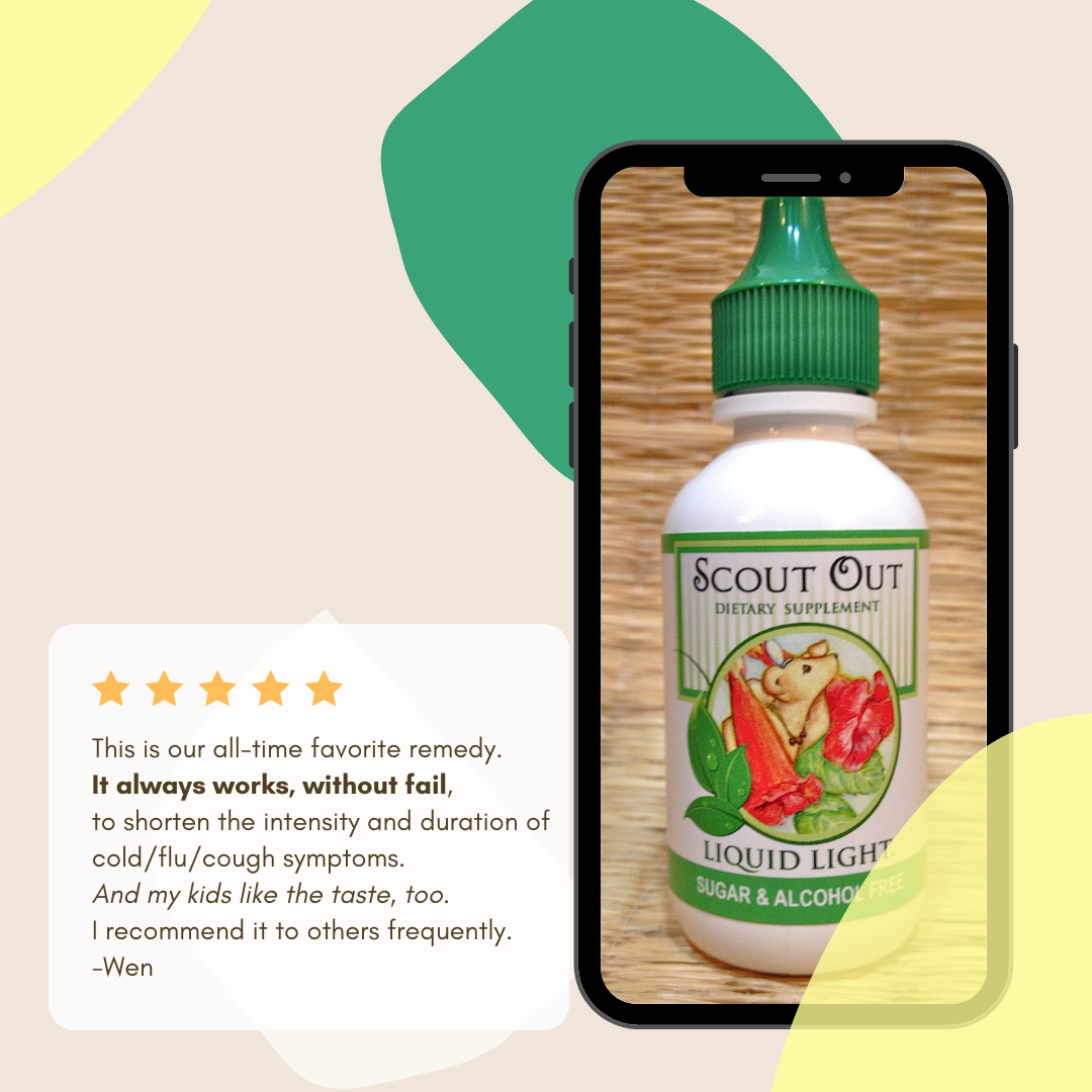 Scout Out review