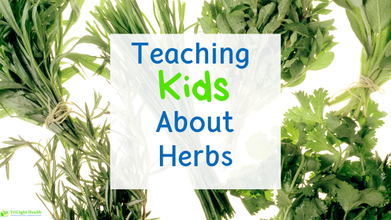 tl-blog-teaching-kids-about-herbs.png