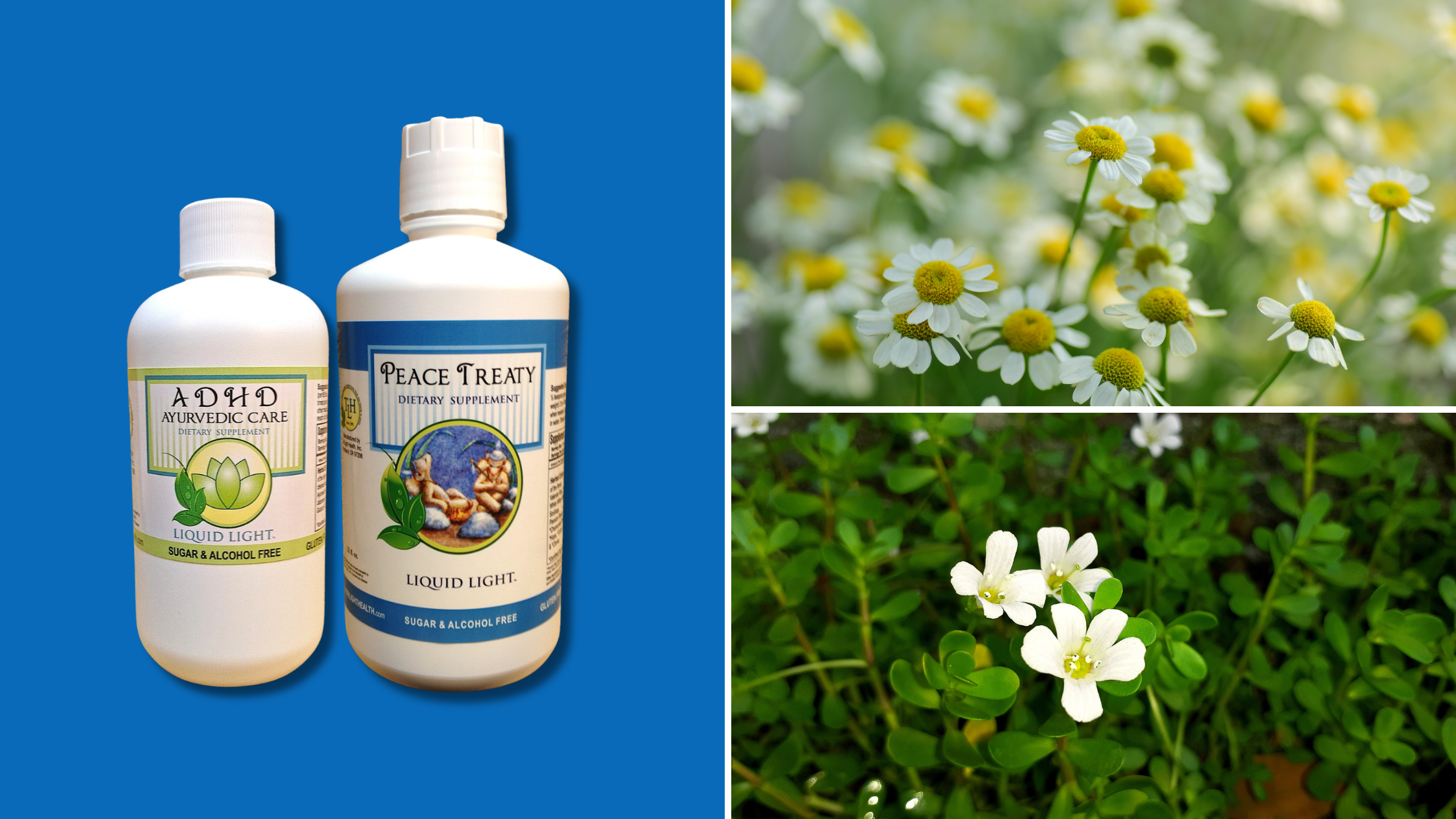 Herbal remedies for ADHD/ADD TriLight Health's ADHD and Peace Treaty formulas on a blue black ground with pictures of chamomile and brahmi flowers